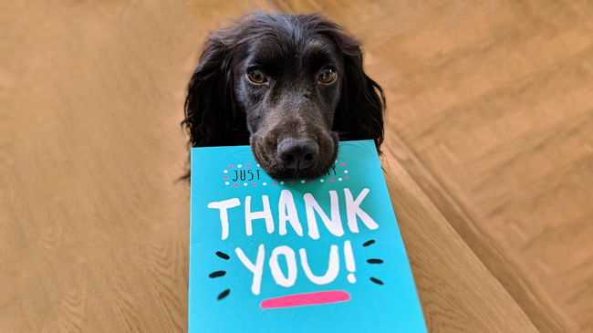dog holding thank you sign