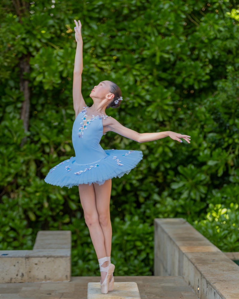 100,000 Ballerina poses Vector Images | Depositphotos