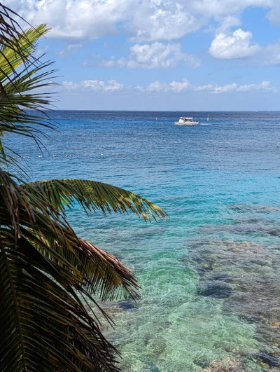 Playa Del Carmen &Amp; Tulum Wedding Photographer 8 playa del carmen pictures